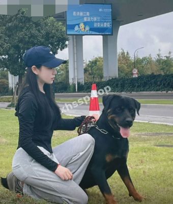 香香公主