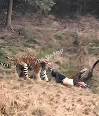 男子惨死