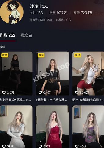 凌凌七DL