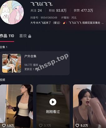 飞飞以飞飞