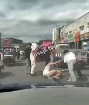 内蒙古呼伦贝尔