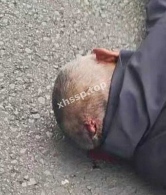 老汉被撞身亡