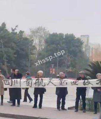 网络热议