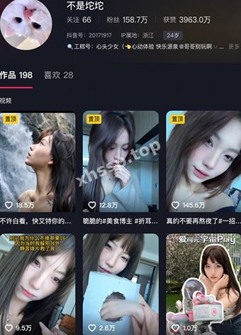 不是坨坨