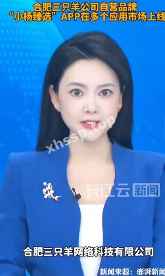 停播半年