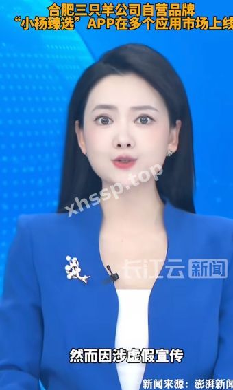 小杨臻选