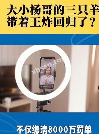 网友骂声