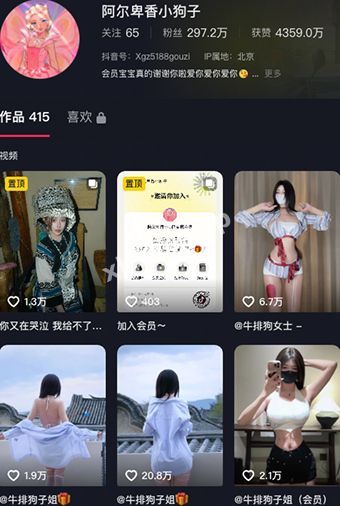 阿尔卑香小狗子