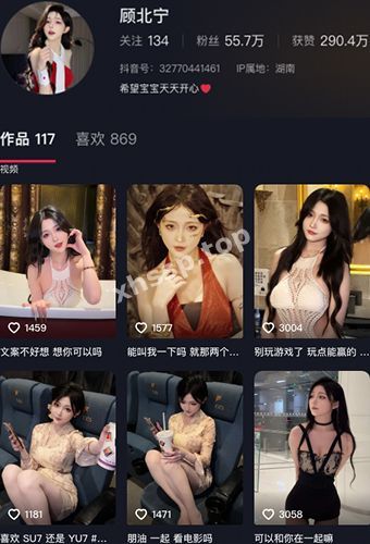 顾北宁