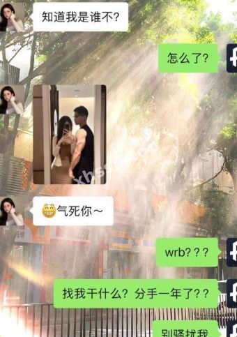 王美玲