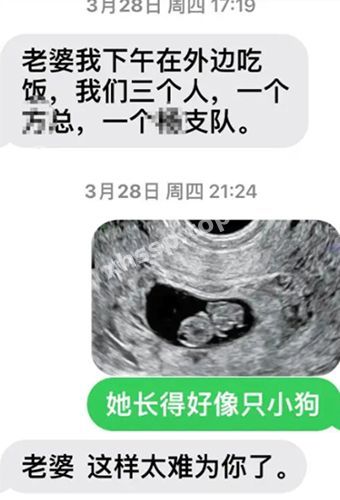 网友热议