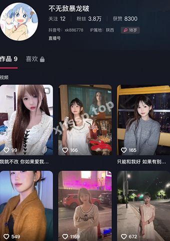 不无敌暴龙啵