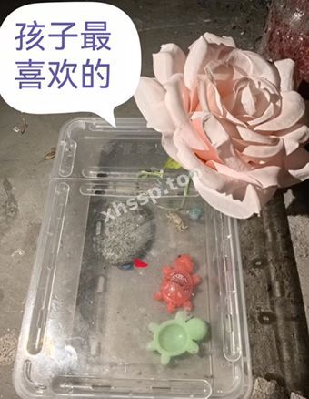 教育变态