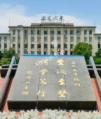 陈雅婷