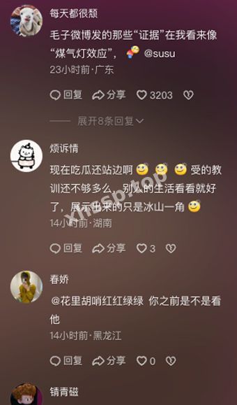 家暴玫瑰