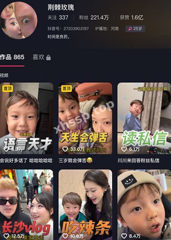 家暴玫瑰
