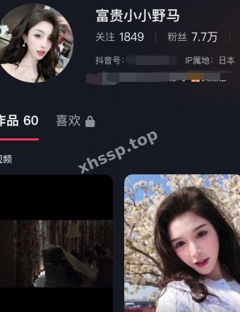 富贵小小野马