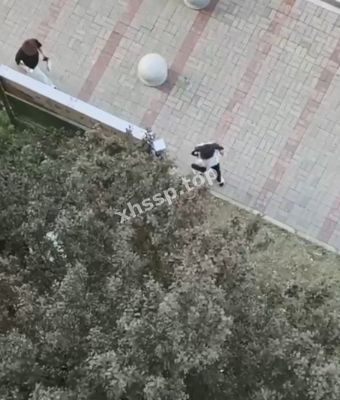 私密照曝光