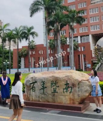 董小雨