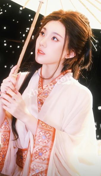 网红争议