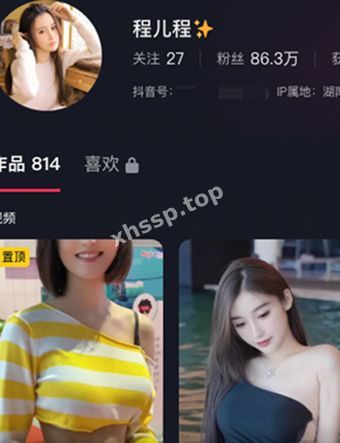程儿程