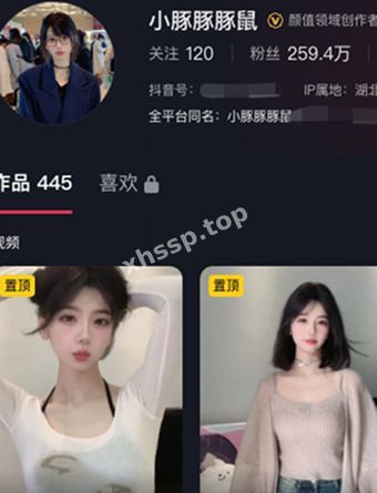 小豚豚豚鼠