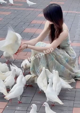 性感御姐
