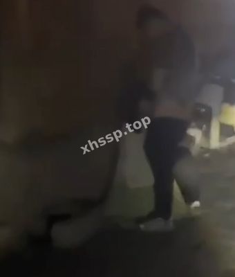半岛分龙