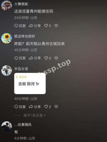 半岛分龙