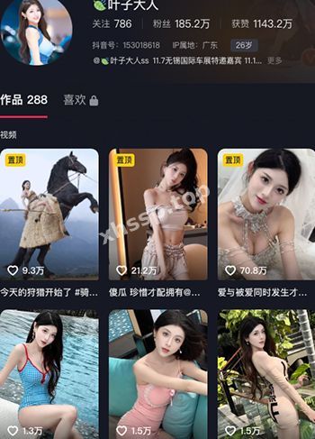叶子大人