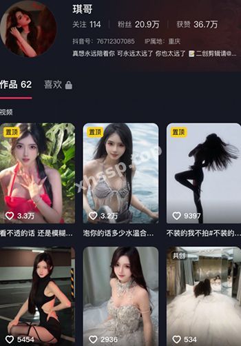 琪哥