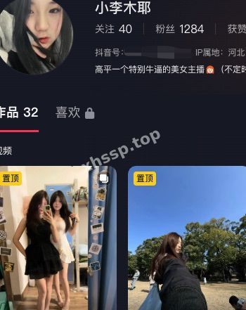 小李木耶