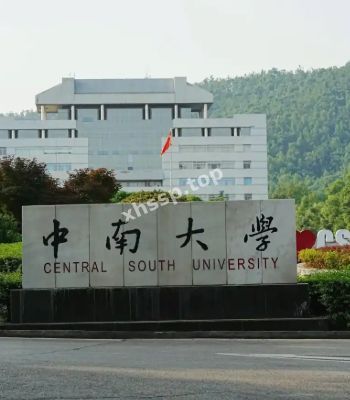 王芊语