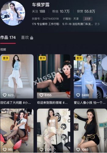 车模