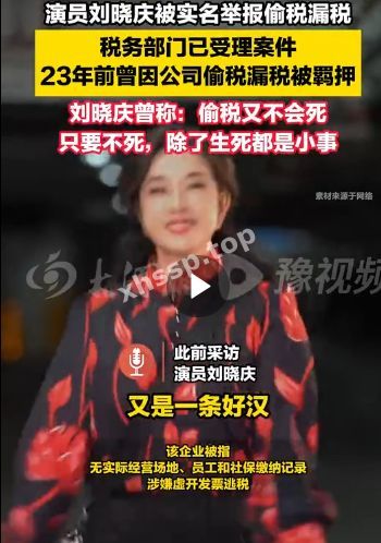 偷税漏税