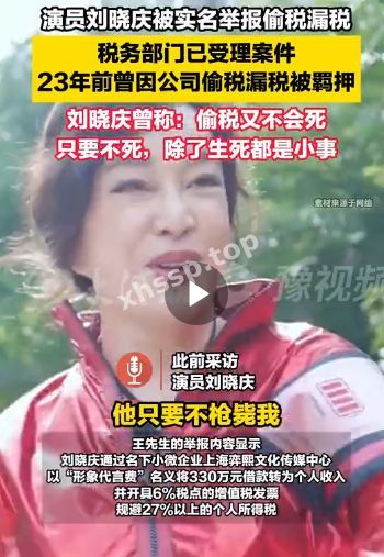 税务调查