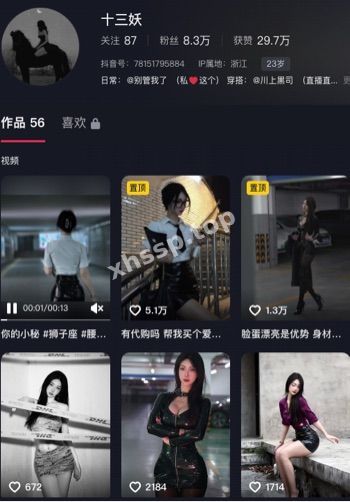 十三妖