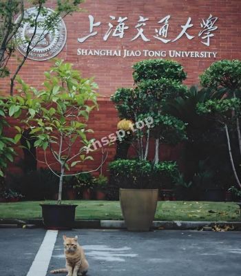 向诗怡
